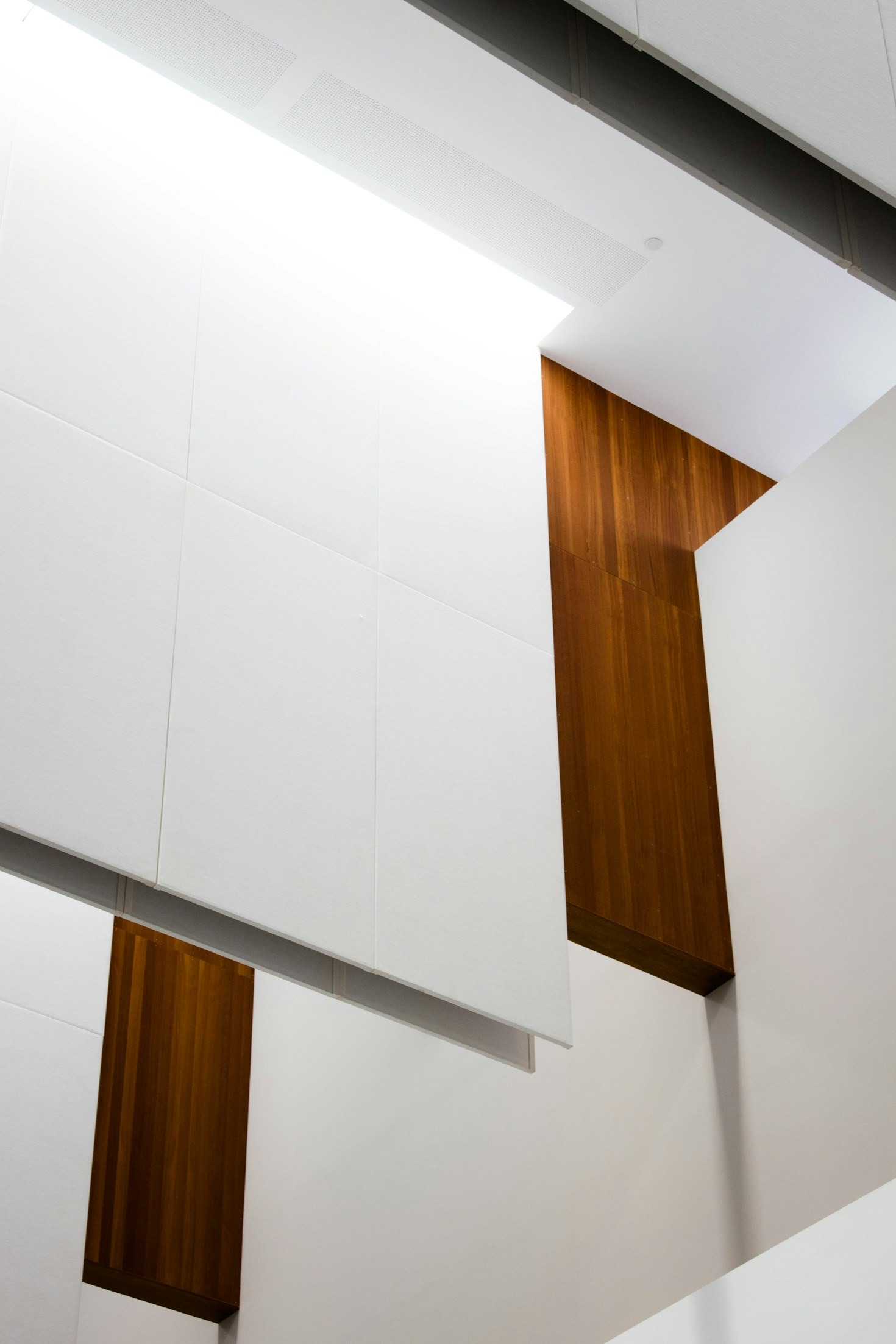 Essential Plaster Solutions for Long-Lasting Wall Finishes